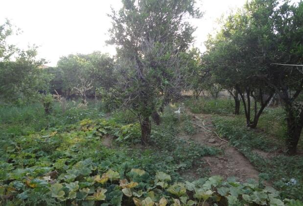 Ersu Apart - Görsel 3