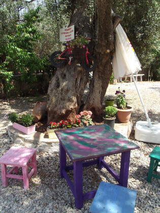 Assos Orchidee Bungalow - Görsel 48