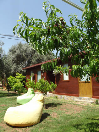 Assos Orchidee Bungalow - Görsel 13