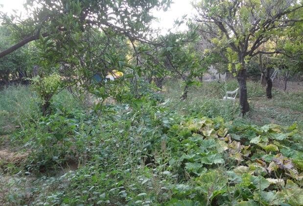 Ersu Apart - Görsel 7