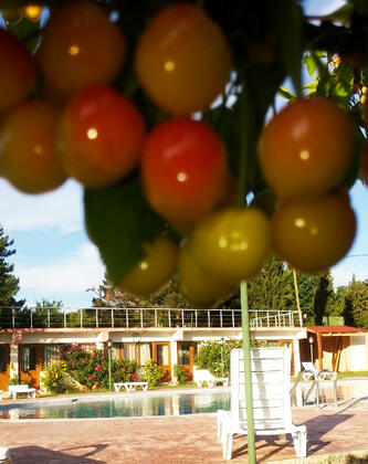 Sıla Hotel Tekirdağ - Görsel 7