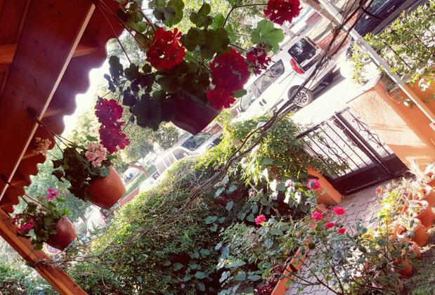 Dumlupınar Pansiyon - Görsel 24