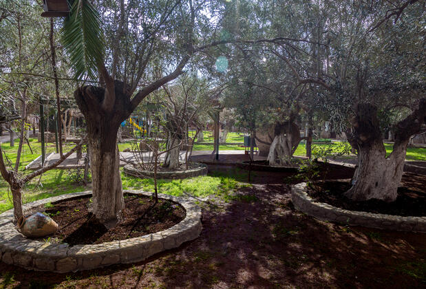 Assos Kanara Hotel - Görsel 47