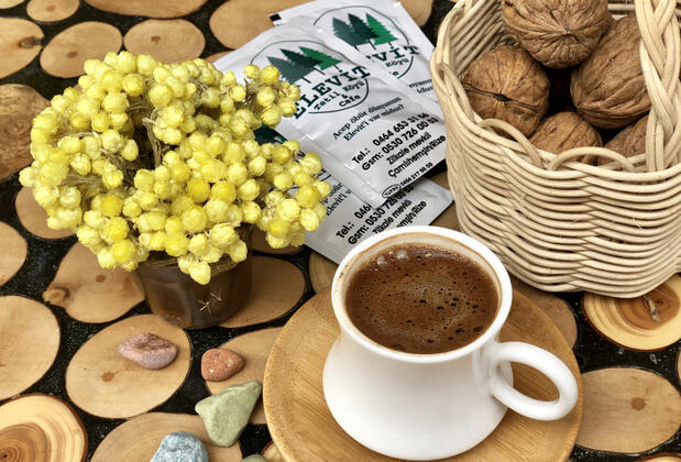 Elevit Tatil Köyü - Görsel 9