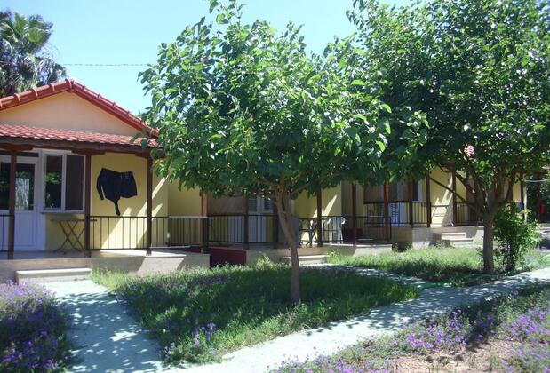 Emir Apart Adrasan - Görsel 4