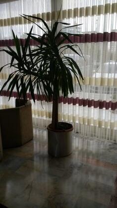 Adile Mermerci Uygulama Oteli - Görsel 26