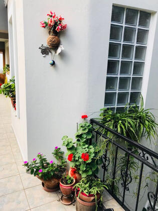 Narçiçeği Köşkü - Görsel 9