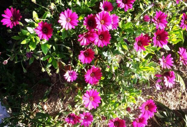 Kaynar Hotel - Görsel 6