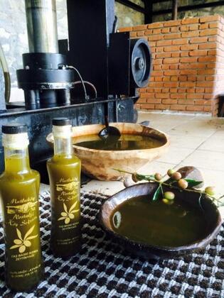 Mutlu Köy Nostalji Tatil Köyü - Görsel 31