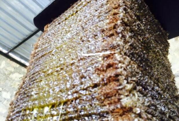 Mutlu Köy Nostalji Tatil Köyü - Görsel 40