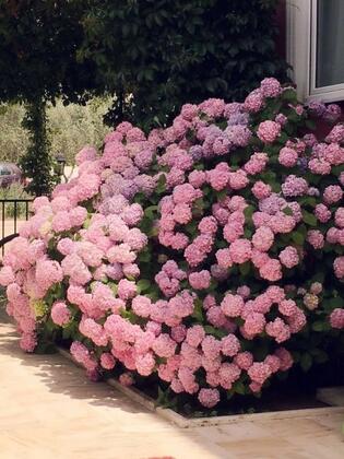 Meriçboyu Apart - Görsel 34