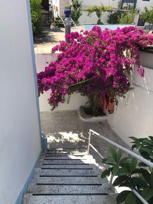 Bodrum Suat & Suat Otel - Görsel 4