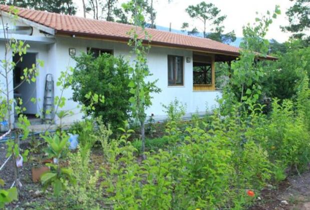 Olimpos Vadi Pansiyon - Görsel 6