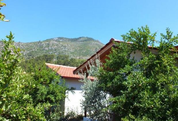Olimpos Vadi Pansiyon - Görsel 3