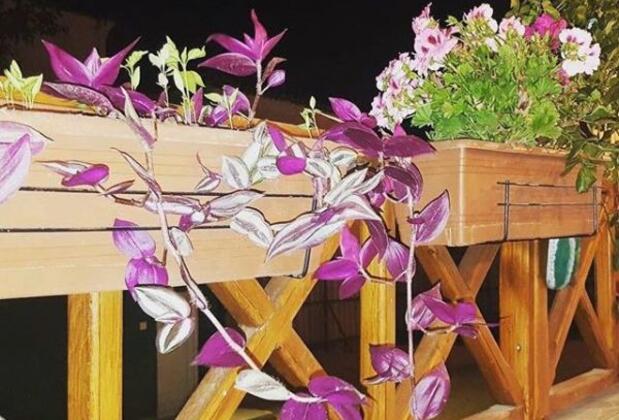 Mandalin Butik Otel Çeşme - Görsel 8