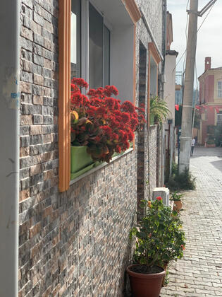 Mandalin Butik Otel Çeşme - Görsel 21