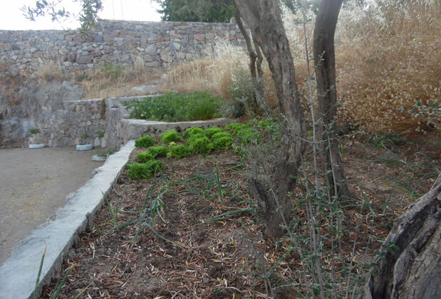 Köy Motel - Görsel 17