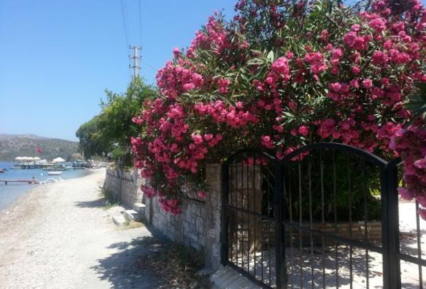 Gizem Asya Apart - Görsel 15