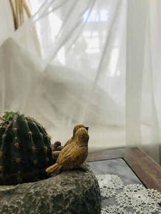 Efnan Otel Alaçatı - Görsel 20