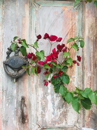 Efnan Otel Alaçatı - Görsel 17