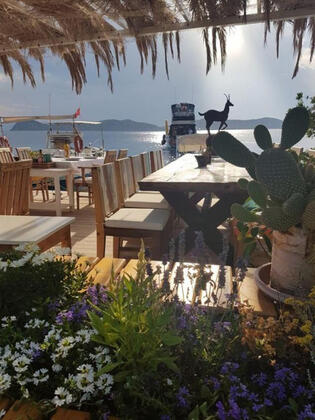 Bi' Oda Bi' Balkon by Barba Saranda - Görsel 11