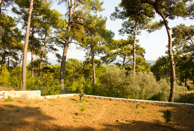 Akyaka Dağ Evi - Görsel 29