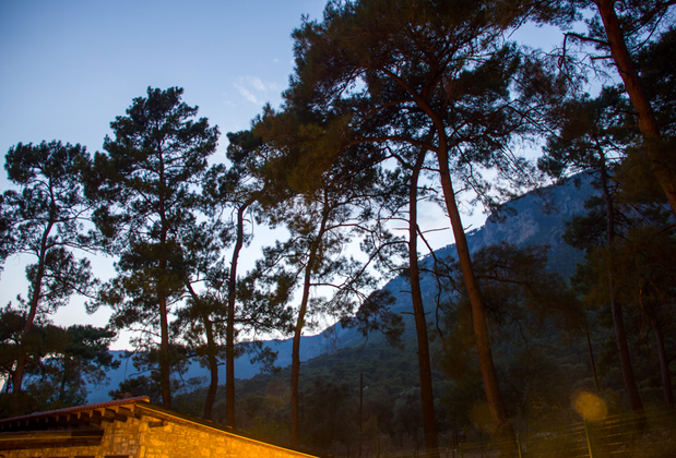 Akyaka Dağ Evi - Görsel 25