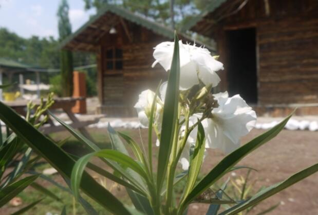 Angora Bungalows - Görsel 3