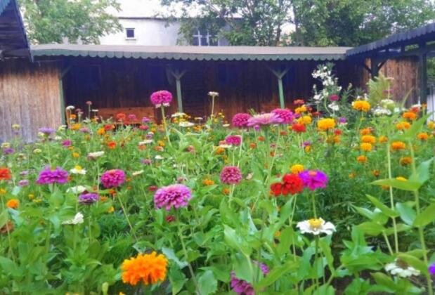 Angora Bungalows - Görsel 12