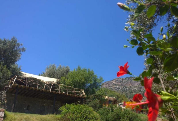 Kök Kamp - Görsel 9