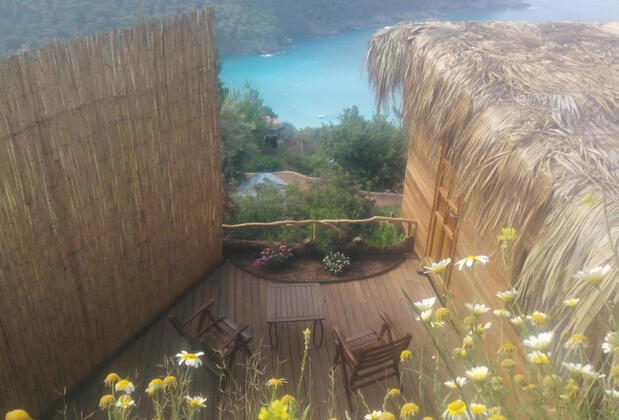 Kök Kamp - Görsel 4