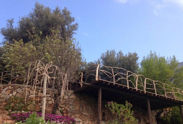 Kök Kamp - Görsel 11