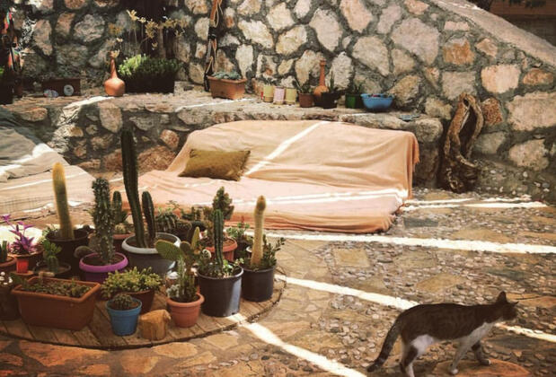 Kök Kamp - Görsel 17