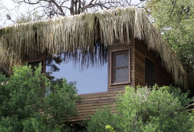 Kök Kamp - Görsel 6