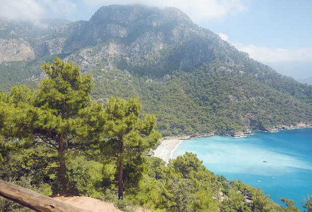 Kök Kamp - Görsel 7