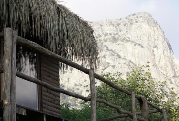 Kök Kamp - Görsel 13