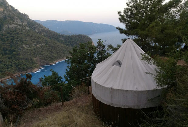 Kök Kamp - Görsel 2