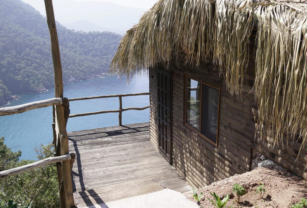 Kök Kamp - Görsel 15