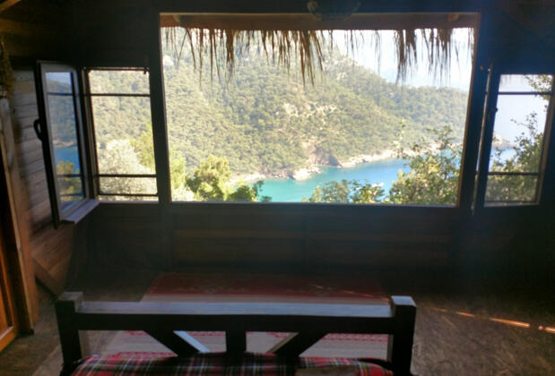 Kök Kamp - Görsel 16