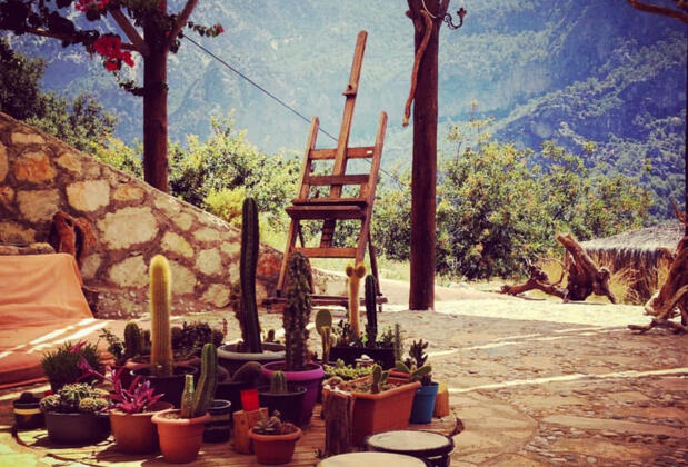 Kök Kamp - Görsel 8