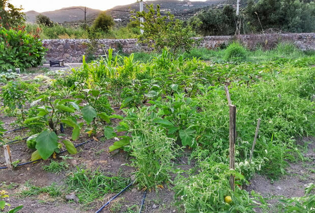 Assos Liman Balık Evi - Görsel 14