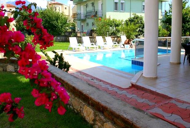 Dream Of Holiday Star - Görsel 13