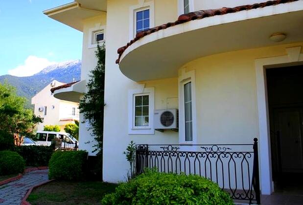 Dream Of Holiday Palm - Görsel 7