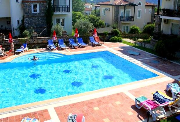 Dream Of Holiday Palm - Görsel 15