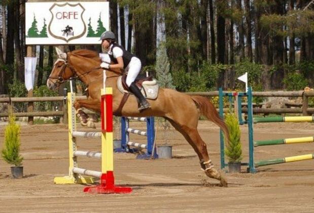 Orfe Tatil Köyü - Görsel 31