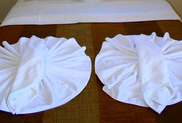 Dream Of Holiday Palm - Görsel 14