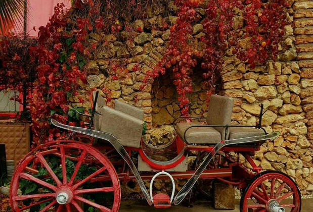 Orfe Tatil Köyü - Görsel 43