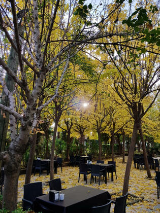 Orfe Tatil Köyü - Görsel 38