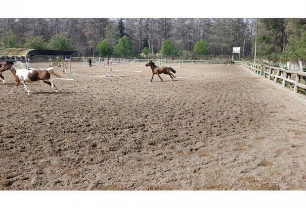 Orfe Tatil Köyü - Görsel 40