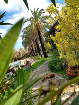 Orfe Tatil Köyü - Görsel 48